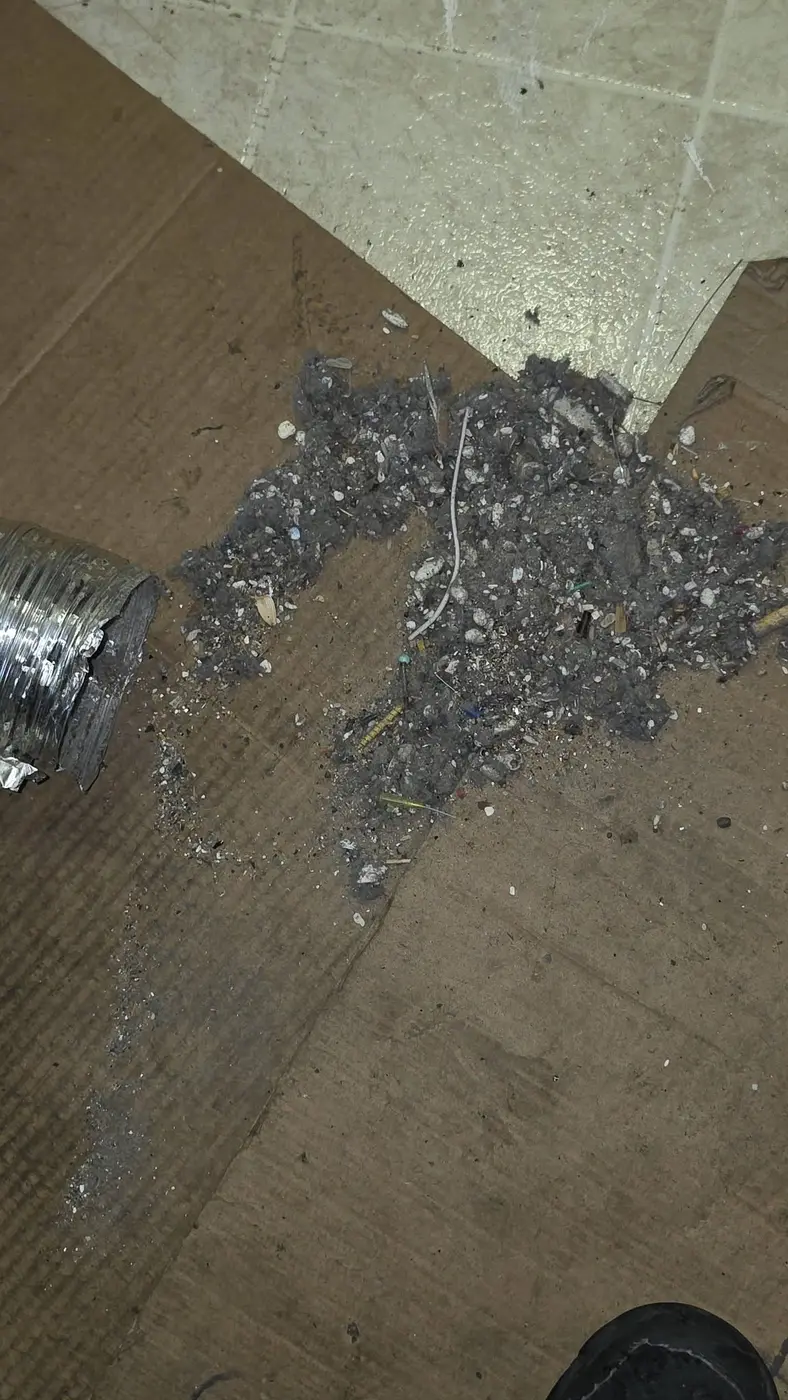 Pile of lint removed from one dryer vent cleaning