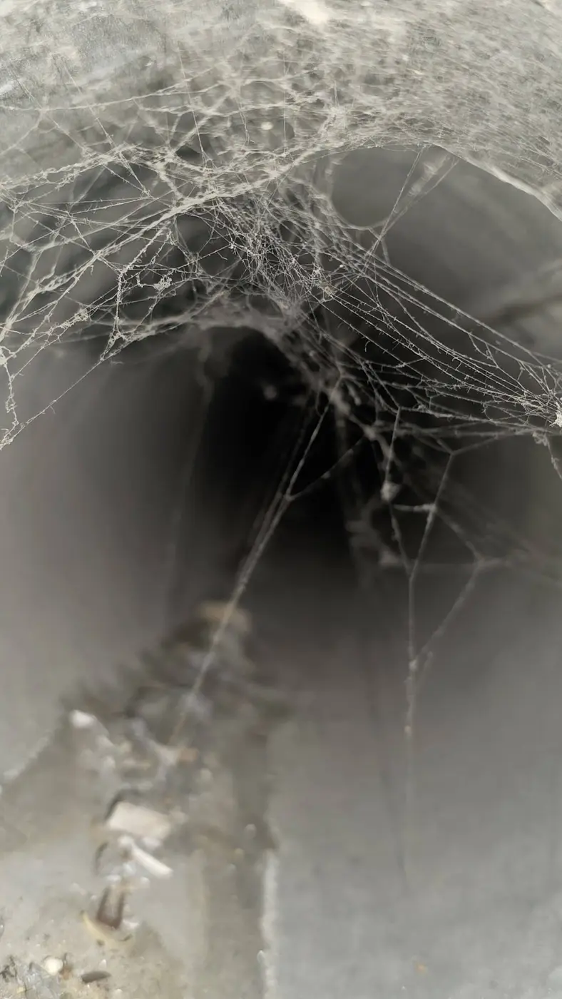Cobwebs and settled debris found inside an uncleaned supply duct