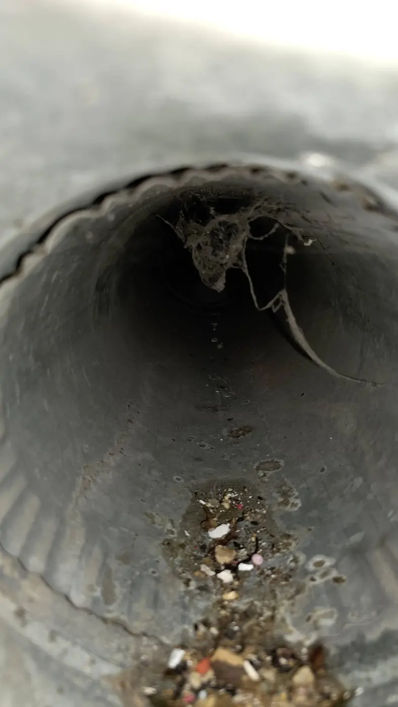 Webs and dust matting inside residential ductwork before cleaning