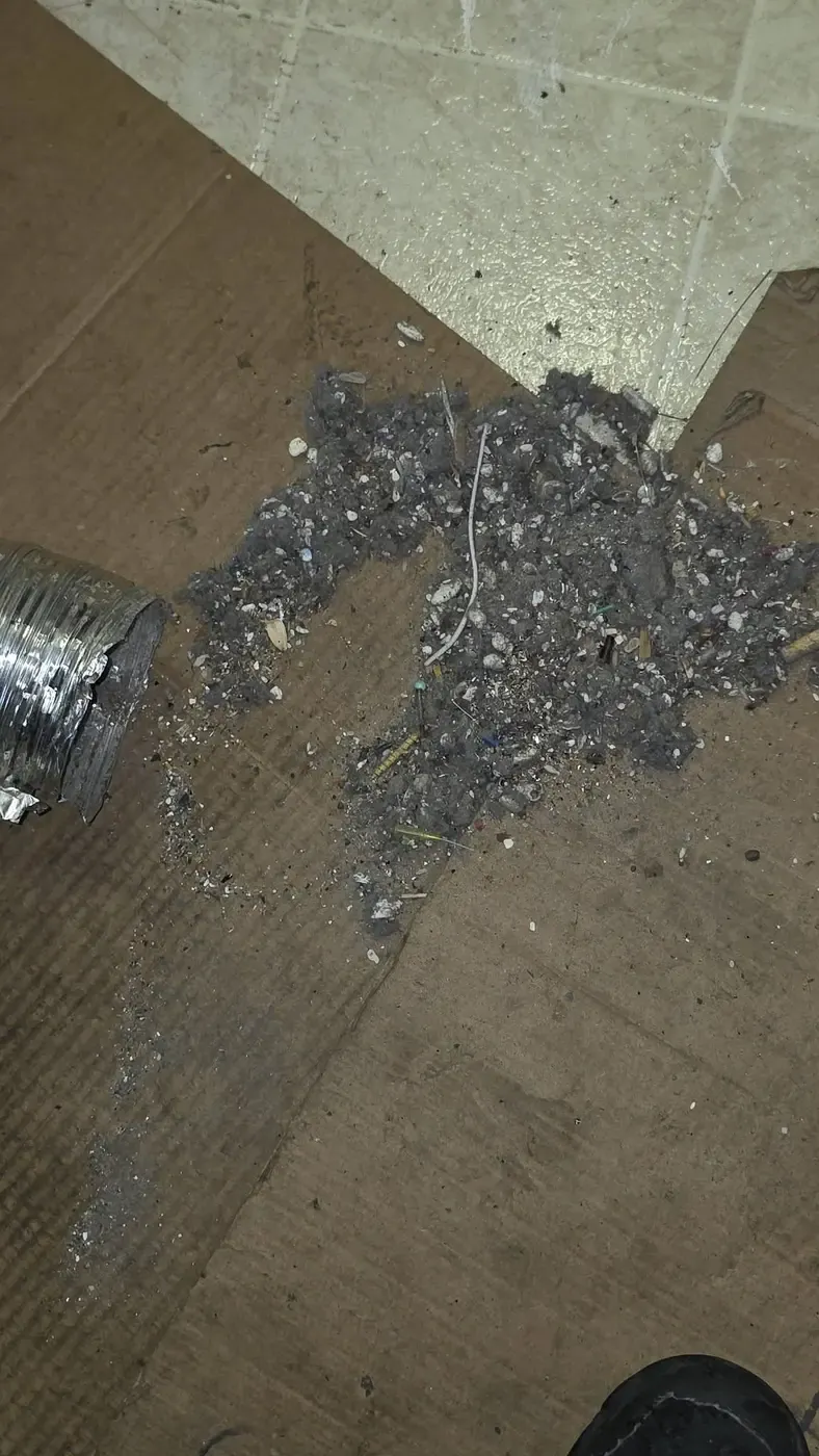 Pile of lint removed from a single dryer vent during an Apex cleaning visit