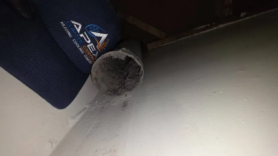 Dryer transition duct packed completely solid with lint, removed during an Apex cleaning