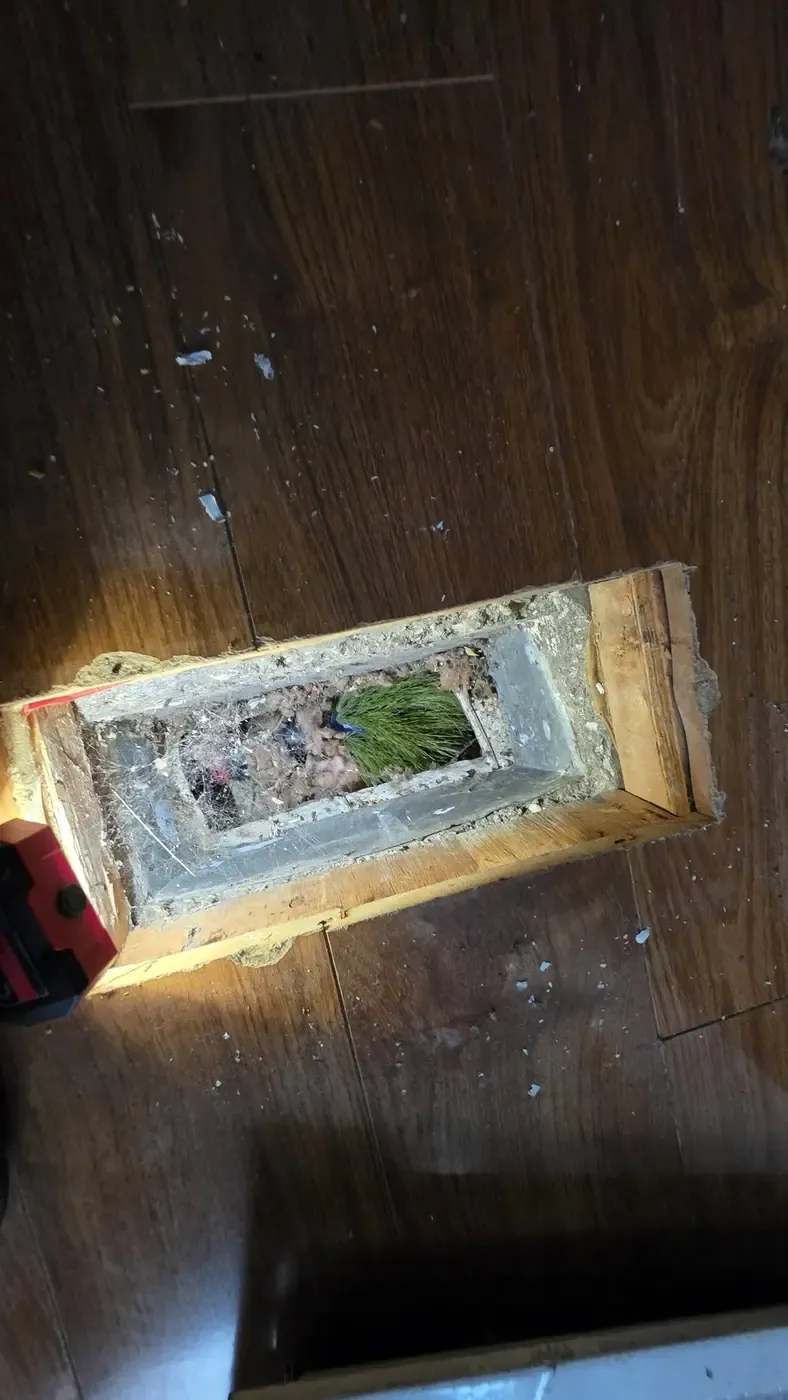 Rotary brush tool beside insulation pulled from a duct